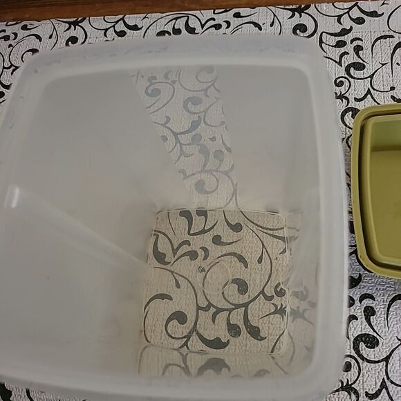 Tupperware Pickle Keeper - Picture 5 of 6